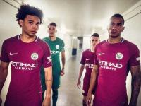 - 奥德赛简介100字 