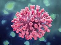 -关于费城76人训练开放日；今晚伤情更新引观众欢呼；意大利杯在即；医务组通报恢复的信息